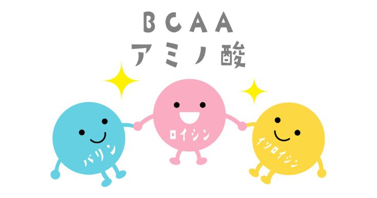 筋肉のためにBCAAを取ろう